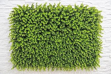 新世界进不去游戏、匹配不到人怎么办？推荐使用野豹加速器免费加速！